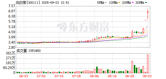 正规配资炒股平台 向日葵成交额创2020年9月10日以来新高
