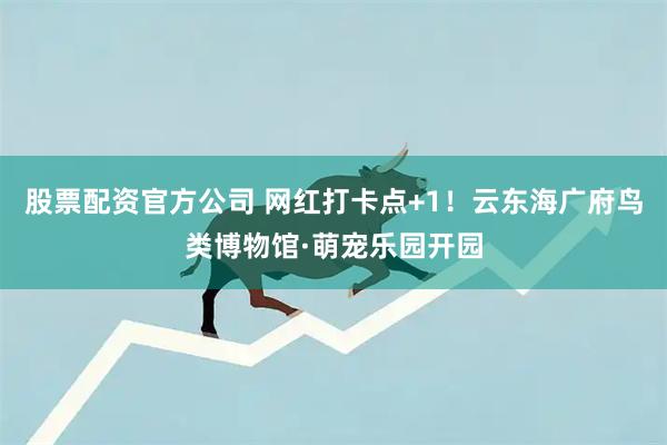 股票配资官方公司 网红打卡点+1！云东海广府鸟类博物馆·萌宠乐园开园