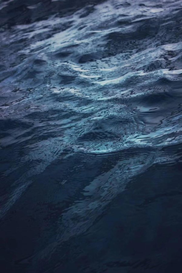 在线免费配资 外滩FTC：在历史金融地标上，黄浦区如何重塑金融科技“策源地”